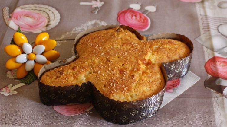 colomba-salata-veloce