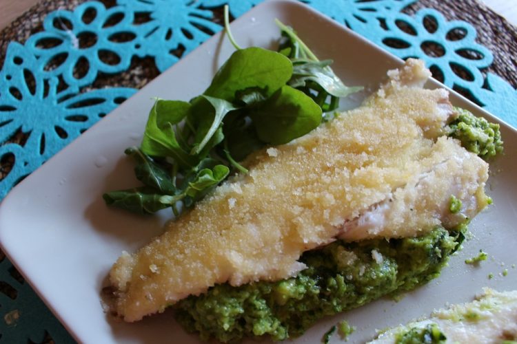 branzino-pesto-di-rucola-zucchine-senza-nichel-pizzico-di-sale
